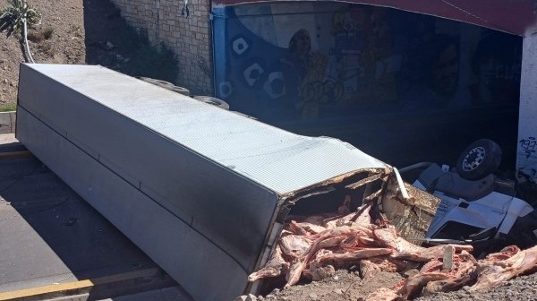Un camión con carne volcó en Mendoza y la gente intentó llevarse las medias reces