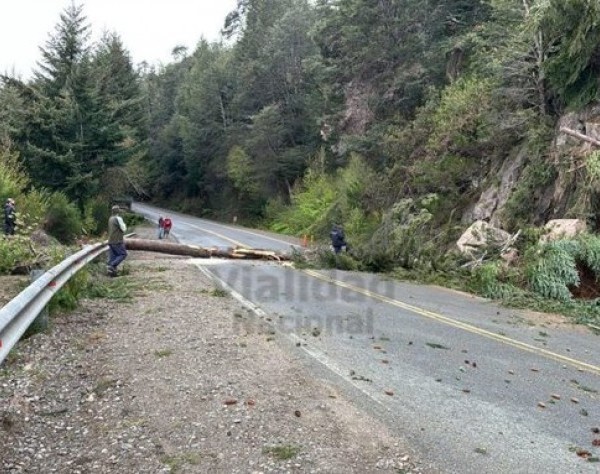 Corte total en la Ruta 40 tras un desmoronamiento en la zona de Villa La Angostura